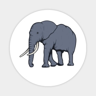 Elephant Magnet